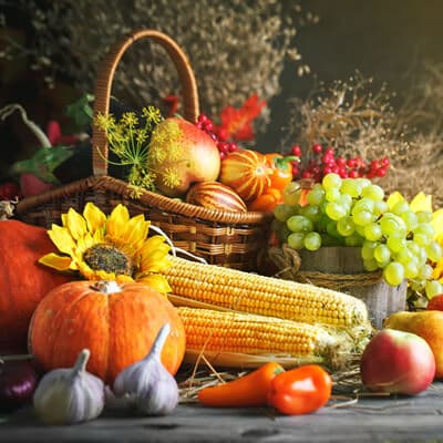 Agricultural Festivals