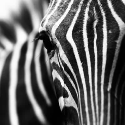 Words That Start Or End With